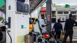 Filling stations slash petrol pump price as naira appreciates to 7-month high against US dollar
