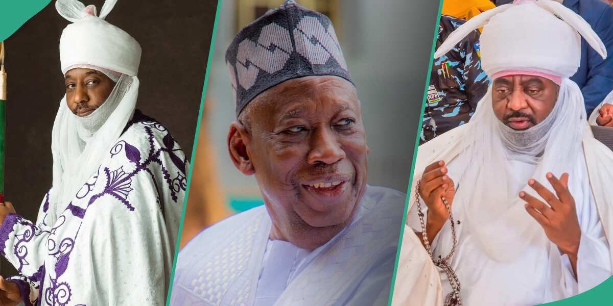 Kano Emirate tussle: NNPP chairman reveals major reason why Ganduje appointed Bayero, 4 other emirs