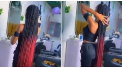 Mixed reactions trail video of lady rocking ankle-length braids: "This is waste"
