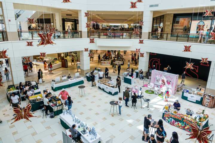 The largest mall in America: 20 biggest shopping centres in the USA ...