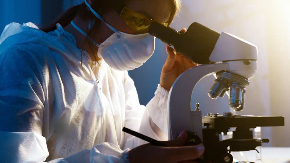 A student looking through a microscope
