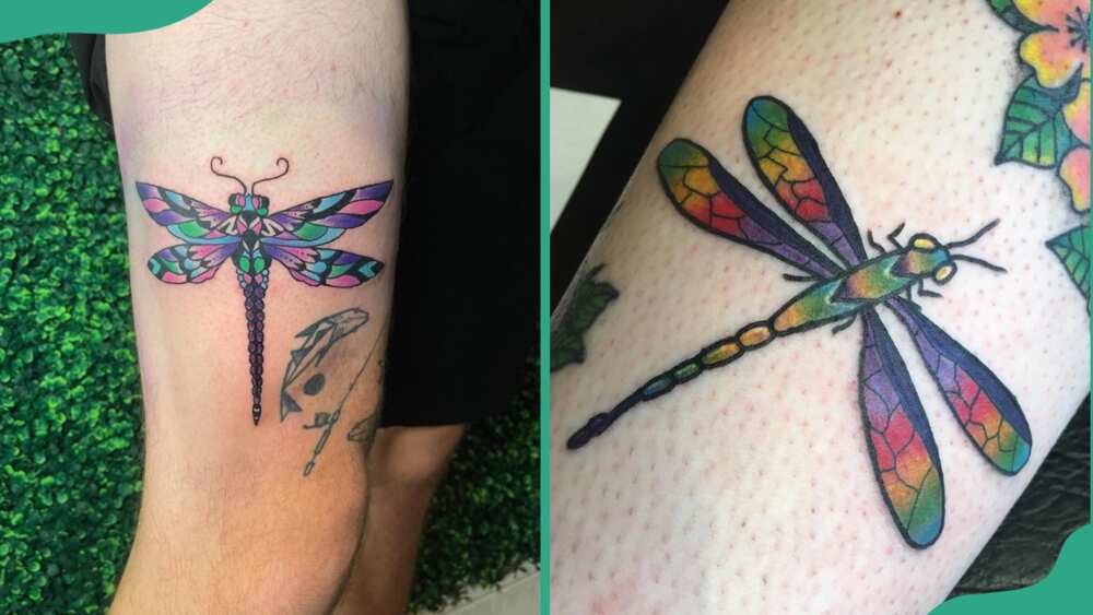 Coloured dragonfly tattoos