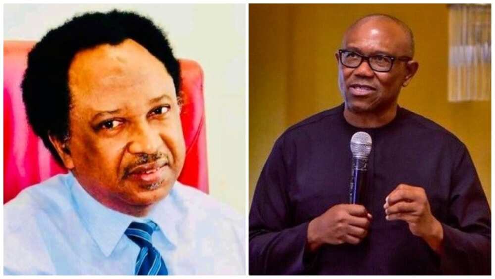 Peter Obi, Shehu Sani, Labour Party, 2023 election, presidential candidate