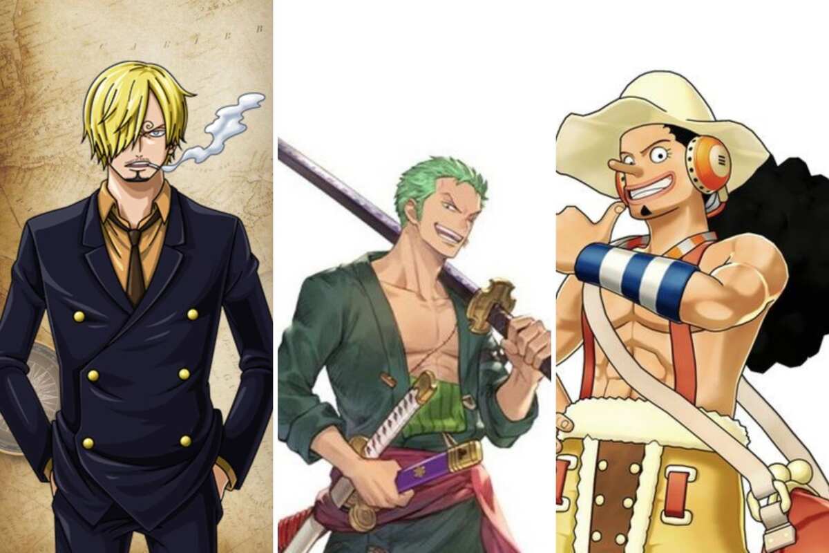 One Piece (TV Series 1999- ) - Z's Ambition (filler) - (Story Arc