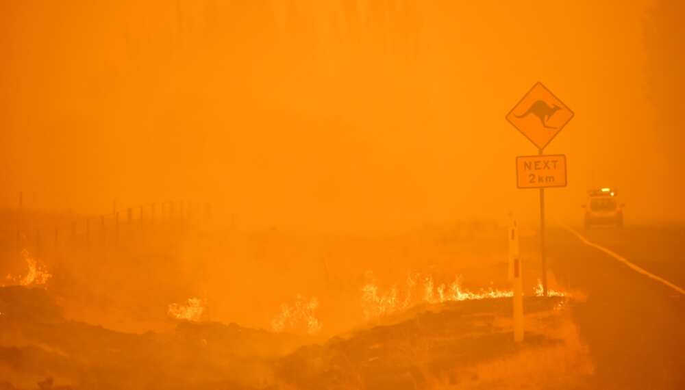 Australian bushfires in 2019 and 2020 were so bad they affected the hole in the ozone layer, researchers say