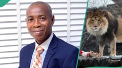 Disclosed: OAU staff mauled to death by lion would have retired in 2025