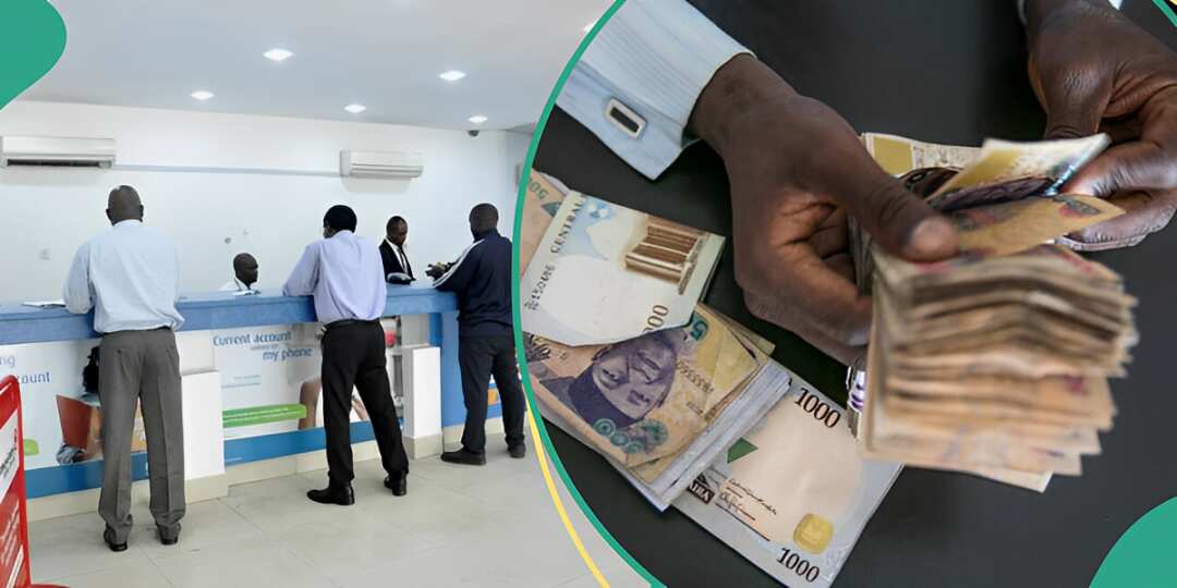 See how much banks take from customers for loans after CBN hike