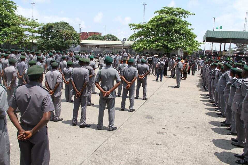 Nigerian Customs seizes 48 sacks of cannabis worth N448million