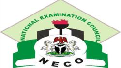 NECO result 2022: Complete guide on how to check results