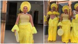 Asoebi fashion: Video of ladies in eye-catching yellow ensembles wows internet users