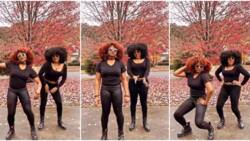 “Who’s the mum?” Fans struggle to differentiate between Stella Damasus and lookalike daughter in new video