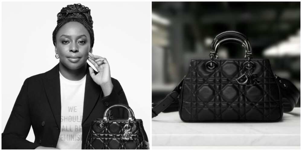 Chimamanda Adichie/Dior