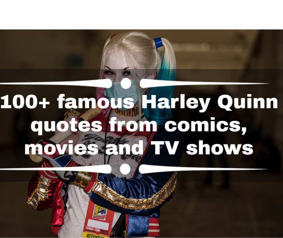 80+ famous Harley Quinn quotes from comics, movies and TV shows 80+ famous Harley Quinn quotes from comics, movies and TV shows