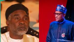 N29bn fraud: How Buhari tried to drop case of Nyako's case, former minister reveals