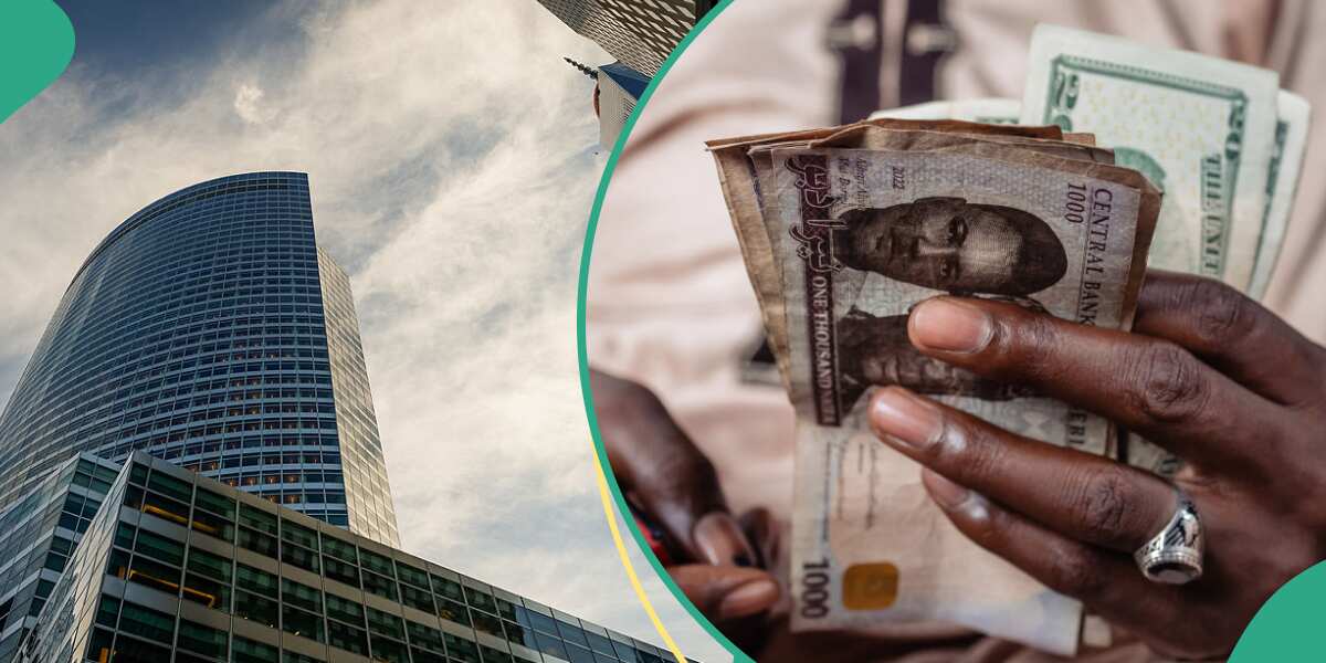 See new naira to dollar exchange rate prediction against US dollar