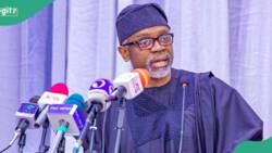 INEC issues notice of bye-election to replace Tinubu's CoS Gbajabiamila