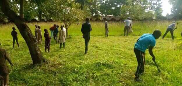 Christians join Muslims to cut grass in Kaduna