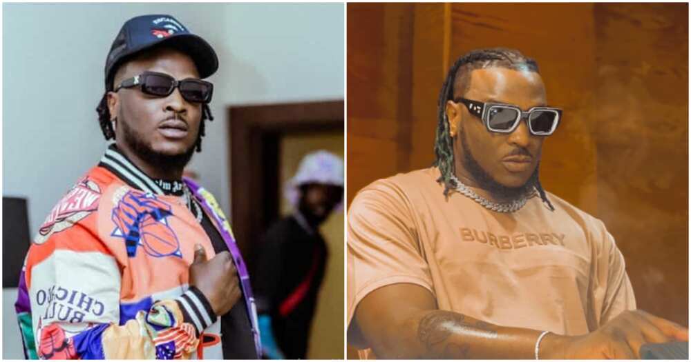 Photos of Peruzzi Photos of Peruzzi