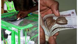 March 18 election: Fresh concerns of voter inducement recorded in Benue, Yobe, Akwa Ibom ahead of polls