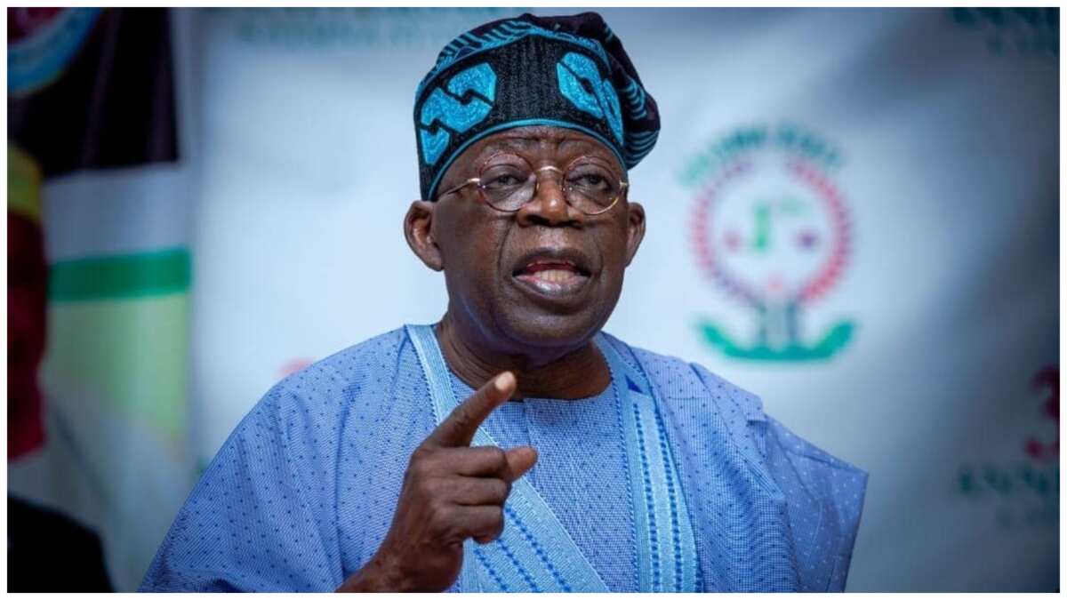 2023: I've it all, Tinubu woos APC delegates in Katsina, boasts of track records