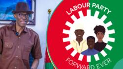Court told to deregister Labour Party in Nigeria, bar its candidates, details emerge