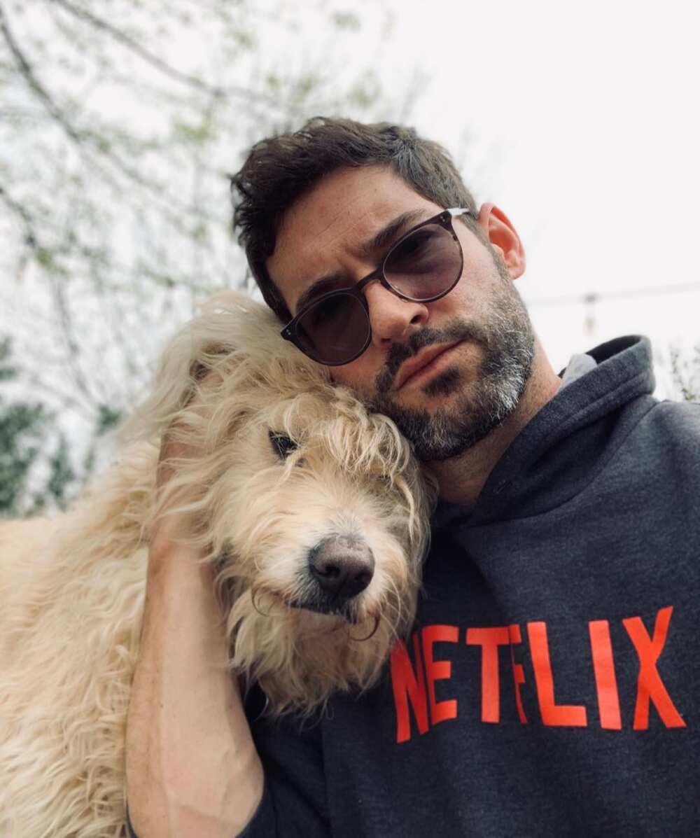 Lucifer Tom Ellis