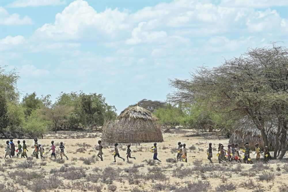 Children from Kenya's Turkana community walk in October to receive food aid; the wider Horn of Africa is facing its worst drought in more than four decades with over 20 million people impacted