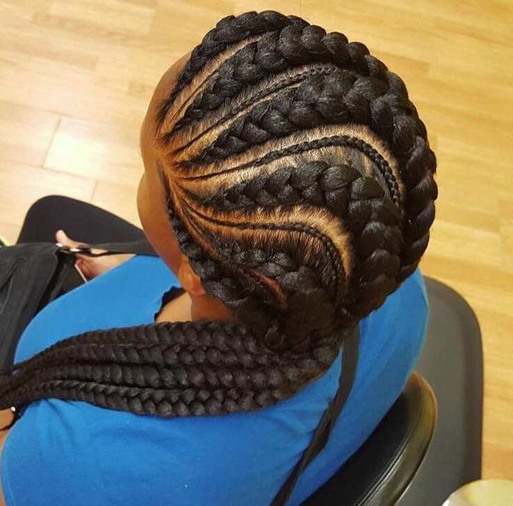 feed in braids 2019