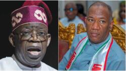 Why Tinubu should not be sworn in on May 29, Datti Baba-Ahmed reveals