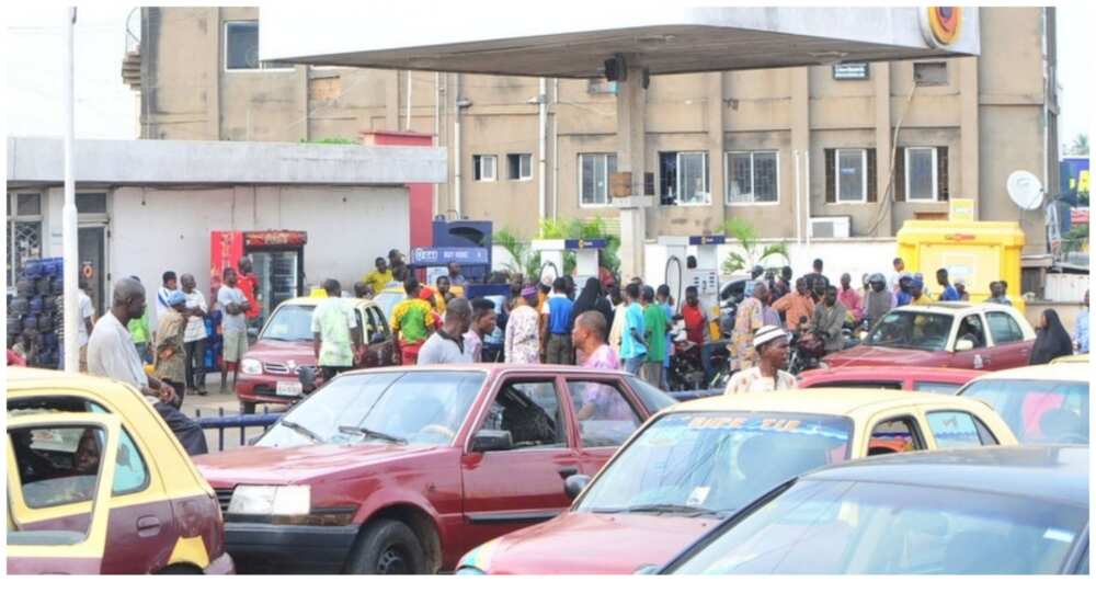 Fuel Crisis: PDP Slams APC, Says Buhari's Government Has Failed Nigerians