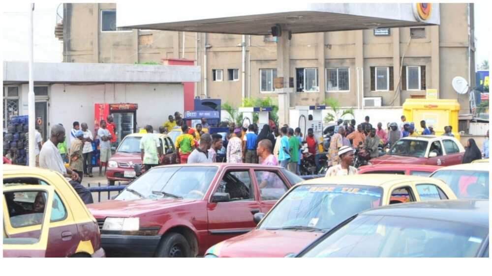 Fuel Crisis: PDP Slams APC, Says Buhari's Government Has Failed Nigerians Fuel Crisis: PDP Slams APC, Says Buhari's Government Has Failed Nigerians