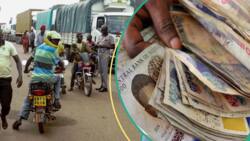 Naira faces rejection from traders at borders amid depreciation concern
