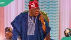 President Tinubu vows to sack underperforming ministers