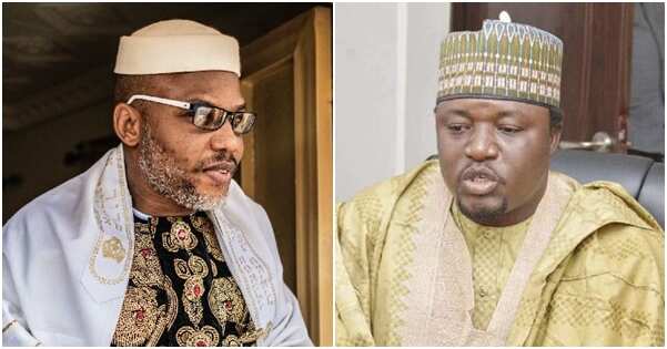 2023: Arewa youths reveal how Nnamdi Kanu is working against Igbo presidency