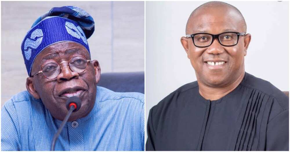 Bola Tinubu, Peter Obi, 2023 presidential election, APGA, APC, Anambra state, Labour Party