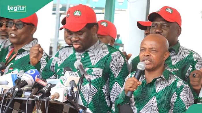 270k for food: NLC provides breakdown of N615,000 minimum wage, shares full list of expenses