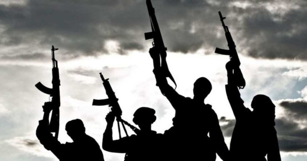 Yan bindiga sun sace 'yan mata 30 a jihar Zamfara Yan bindiga sun sace 'yan mata 30 a jihar Zamfara