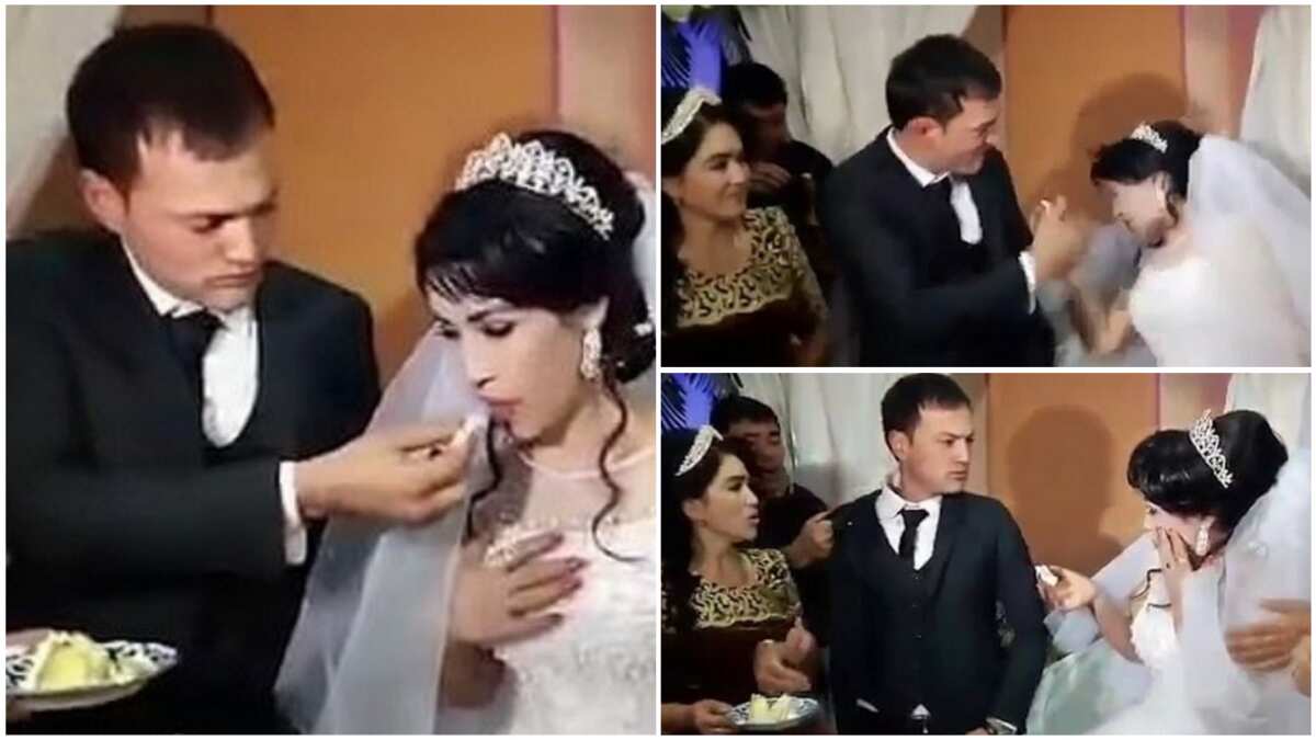 Newlywed husband slaps his wife in front of shocked guests after she teases him with cake
