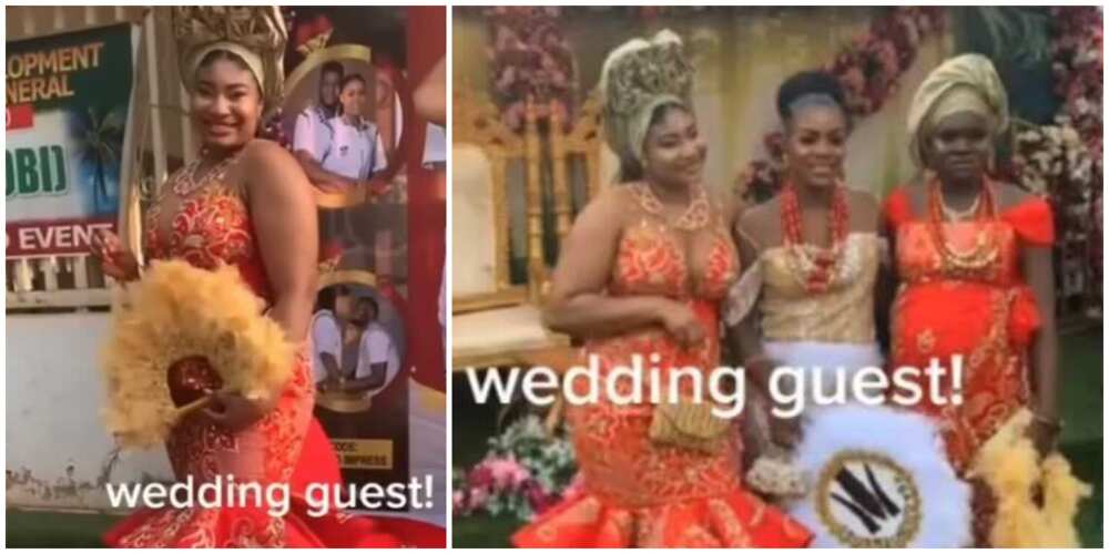 Photos of the wedding guest with the bride.