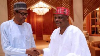 Sanata Kwankwaso ya rubutawa Buhari wasika saboda wasu dalilai 5