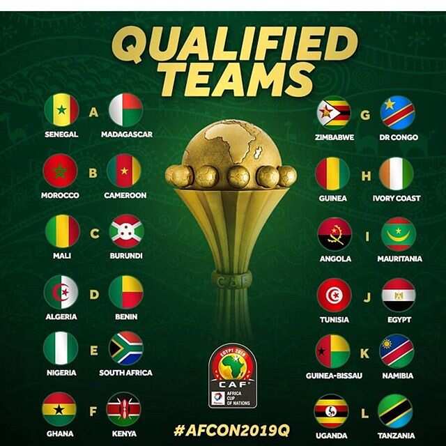 African cup of nations 2019