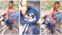 "Did you add pepper?" Nigerian lady cooks snail soup outside with firewood and clay pot, video goes viral