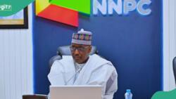 Rights group writes NNPC, seeks probe of Asabe Waziri's multi-million naira homes in Abuja, Lagos