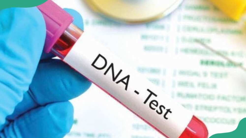 the cost of dna test in nigeria