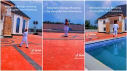 Rich Igbo man shows baby daughter her inheritance, walks around mansion with big swimming pool