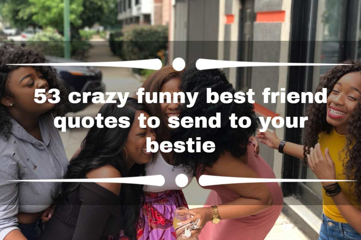 53 crazy funny best friend quotes to send to your bestie 