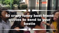 53 crazy funny best friend quotes to send to your bestie