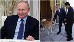 Yana Da Katafaren Fada A Cikin Daji: Abubuwa 4 Masu Mamaki Game Da Shugaban Rasha Vladimir Putin