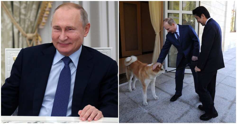 Yana Da Fada A Cikin Daji: Abubuwa 4 Masu Mamaki Game Da Shugaban Rasha Vladimir Putin