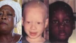 I got scared, how would I explain my fair-skinned child? - Mom says as she talks about her albino and dark-skinned twin sons (photos, video)